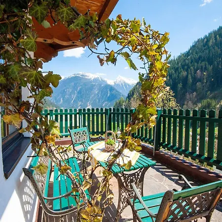In Near Penkenbahn Cable Car مايرهوفن