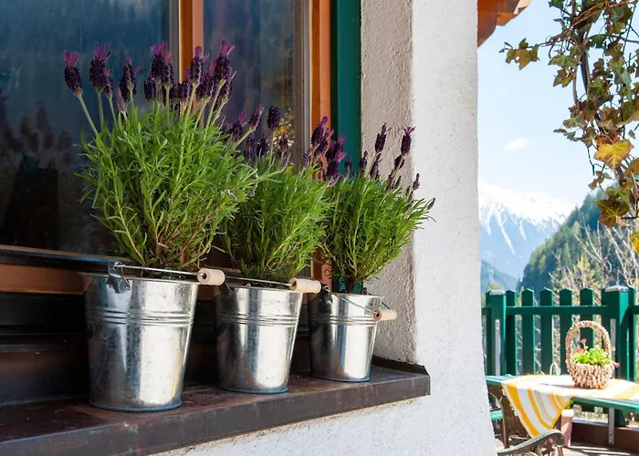 Appartement In Near Penkenbahn Cable Car *