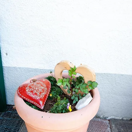 In Near Penkenbahn Cable Car